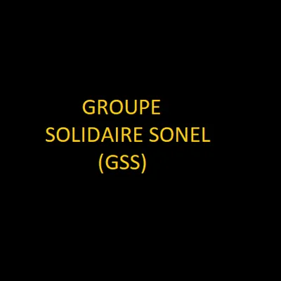 Groupe Solidaire Sonel (GSS)